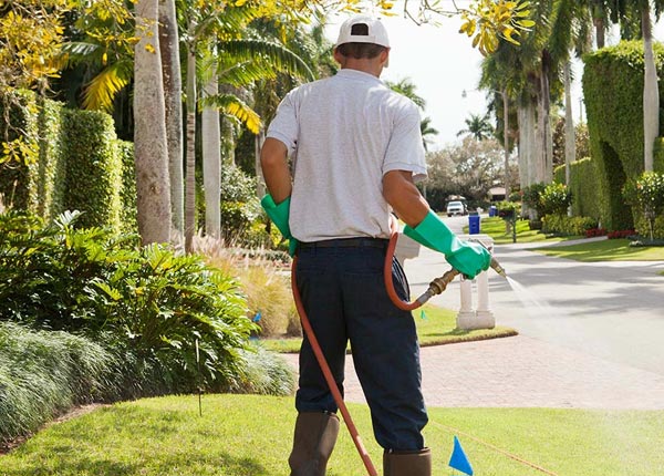 About Minot ME Pest Control Pros